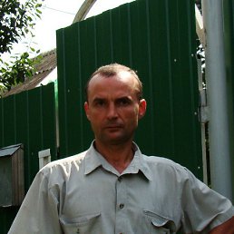 ���������, ������, 56 ���