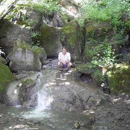 �������, ������, 54 ����