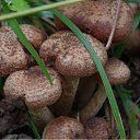 ���� ������, ���������� - ��������� 13 ������� 2011 � ������ ���� ����������