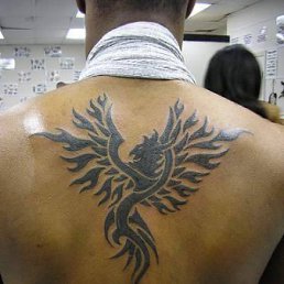 ���� ����, ��������, 43 ���� - ��������� 30 ��� 2012