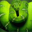 ���� Cem, ������� - ��������� 24 ������ 2011