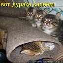 ���� ˸��, ����, 44 ���� - ��������� 26 ���� 2012 � ������ ������
