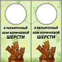 ���� �������, �����, 46 ��� - ��������� 5 ������ 2010 � ������ ���������