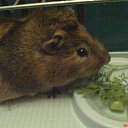 ���� �������, ������, 47 ��� - ��������� 23 ���� 2011