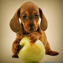 ���� �����, ���� - ��������� 26 ������� 2013 � ������ ���� ������ ������� �����, ��� ������ �������� ������)))�