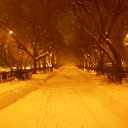 ���� �������, ������������ - ��������� 28 ������ 2010 � ������ �����
