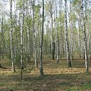 ���� ��� �����, ������� - ��������� 8 �������� 2012 � ������ �������,������� ��,�� �� ��� �����������..!�