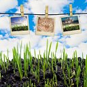    , -, 70  -  5  2011    -    ,  ,  