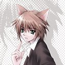 ���� ������, ����������, 41 ��� - ��������� 14 ��� 2011 � ������ ���� ����������