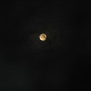 ���� �����, �������, 48 ��� - ��������� 1 ������� 2010 � ������ ���� �������