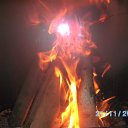  , , 66  -  22  2011   PetLove