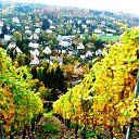 ���� ��������, ������, 53 ���� - ��������� 7 ��� 2012 � ������ ���� ����������