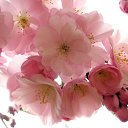 ���� �������, ������ - ��������� 7 ��� 2013 � ������ ���� ����������