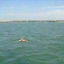 ���� ����������, ������, 39 ��� - ��������� 25 ������ 2010 � ������ �1�