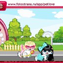   (  )), , 28  -  19  2010   PetLove