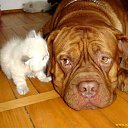 ���� Sergei, �����-���������, 48 ��� - ��������� 24 ������� 2009 � ������ �������