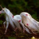 ���� Jeon Davon, ������ - ��������� 30 ��� 2012 � ������ �����������