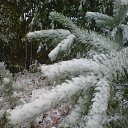 ���� Nik, �����������, 50 ��� - ��������� 11 �������� 2010 � ������ �������� �������� ������