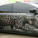 ���� ���������, �������������� - ��������� 20 ������� 2011 � ������ ���������Ż