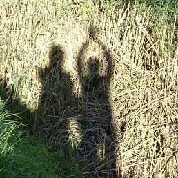 ���� ���, ������ - ��������� 27 ������� 2010