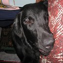 ���� Romantic, ����, 33 ���� - ��������� 2 ������ 2009 � ������ �� � ������