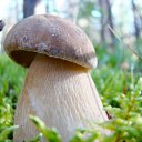 ���� �������, ������� - ��������� 10 ������ 2010 � ������ ����...������