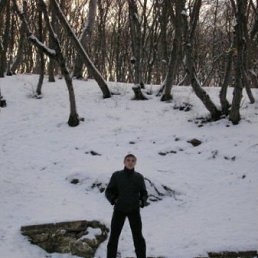 ���� ������, �����, 44 ���� - ��������� 24 ������ 2009