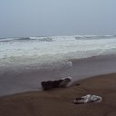 ���� ����, �������������, 58 ��� - ��������� 13 ������ 2013 � ������ ���� ����������