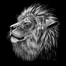 ���� ˸�� ������, �����������, 57 ��� - ��������� 20 ��� 2012