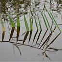 ���� ������, ��������� - ��������� 11 ������� 2010 � ������ ����, ����!!!�