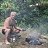 ���� Liparit, ���������, 67 ��� - ��������� 7 ������� 2013