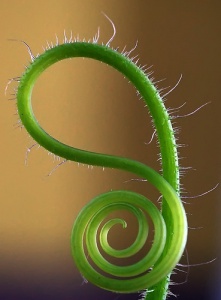 ���� ����, ���������, 38 ��� - ��������� 1 ���� 2012