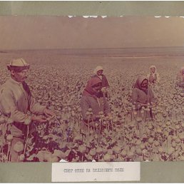 ���� ����, ������ - ��������� 1 ������� 2011