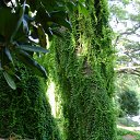 ���� �����, ���������, 57 ��� - ��������� 3 ���� 2010 � ������ �����