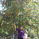 ���� ���������, ��������� - ��������� 2 �������� 2011 � ������ ���� ����������