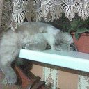 ���� @@@�����, ��������� - ��������� 25 ��� 2013