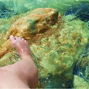 ���� ���������, �����-���������, 37 ��� - ��������� 9 �������� 2010 � ������ ������������ 2010.�