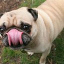 ���� Evgen, �����-���������, 39 ��� - ��������� 23 ��� 2012