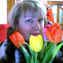 ���� ��������, ������������, 65 ��� - ��������� 24 ���� 2012 � ������ ���� ����������