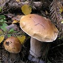 ���� �������, ���������, 24 ���� - ��������� 6 ������� 2011 � ������ ��������!!!�