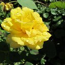 ���� �������, �������, 70 ��� - ��������� 25 �������� 2012 � ������ �������