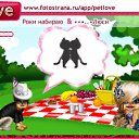  , , 56  -  26  2011   PetLove