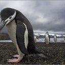 ���� ����, ����������, 43 ���� - ��������� 22 ������ 2012 � ������ �������