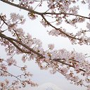 ���� [Pelmen`], ����������, 26 ��� - ��������� 16 ������� 2012 � ������ �������