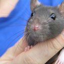  ok, --, 44  -  7  2010   