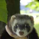 ���� ����, ����, 38 ��� - ��������� 30 �������� 2012 � ������ �������