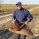 ���� ������ ��������, ������, 63 ���� - ��������� 1 ���� 2013 � ������ ���� ���� ������