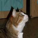 ���� ���, ������, 24 ���� - ��������� 5 ������ 2010