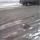 ���� �����, ��������, 44 ���� - ��������� 15 ������ 2012 � ������ �������