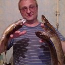 ���� ����, �����-���������, 51 ��� - ��������� 1 ������� 2011 � ������ ���� ����������